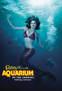 Live Mermaid Dive Shows at Gatlinburg Aquarium